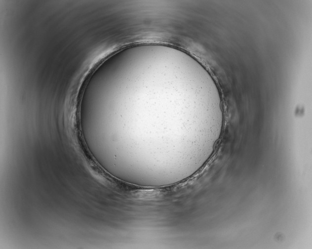 X0000102380050200808151906