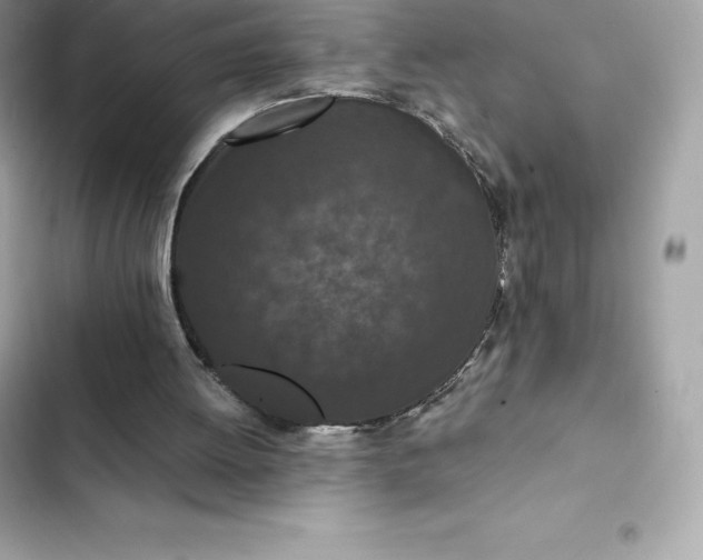 X0000102380052200808151906