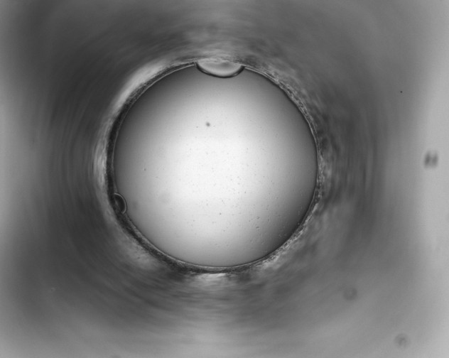 X0000102380054200808151906