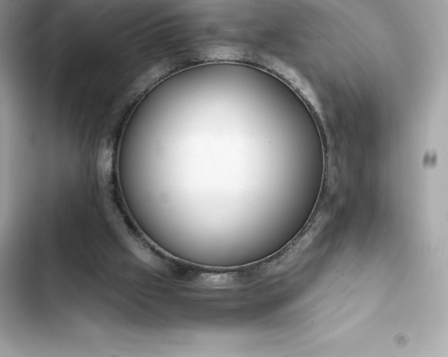 X0000102380057200808151906