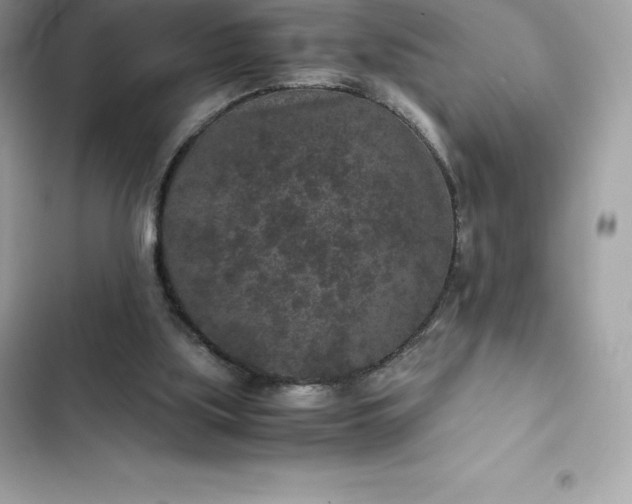 X0000102380059200808151906