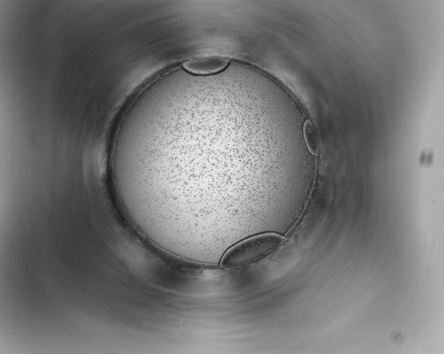 X0000102380060200808151906