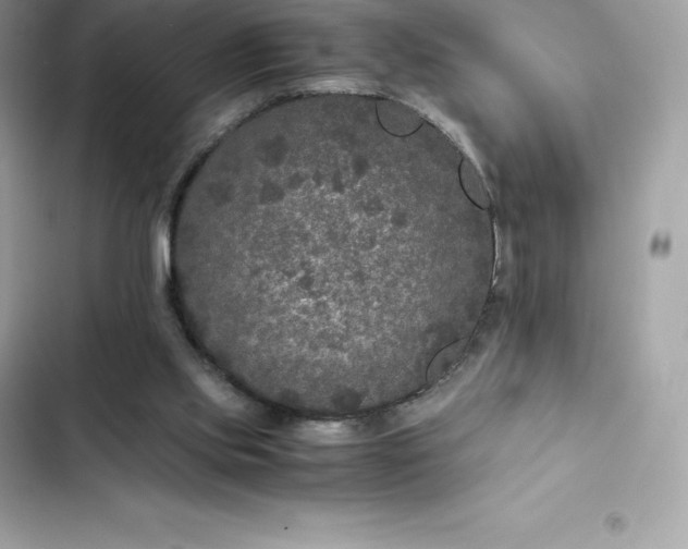 X0000102380061200808151906