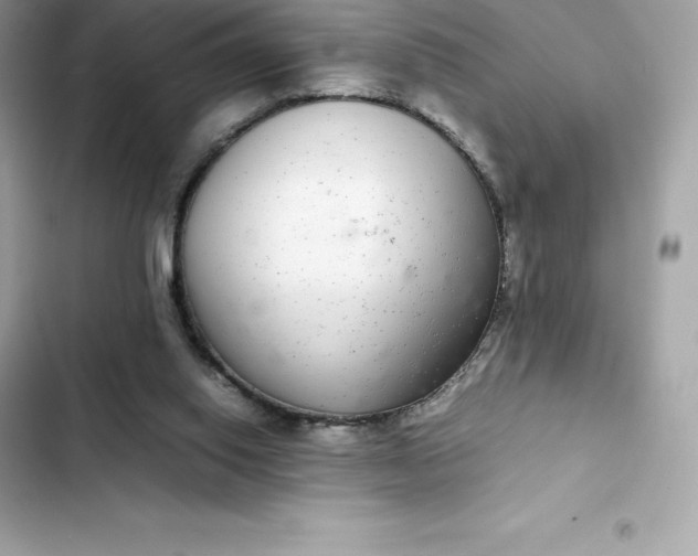 X0000102380062200808151907