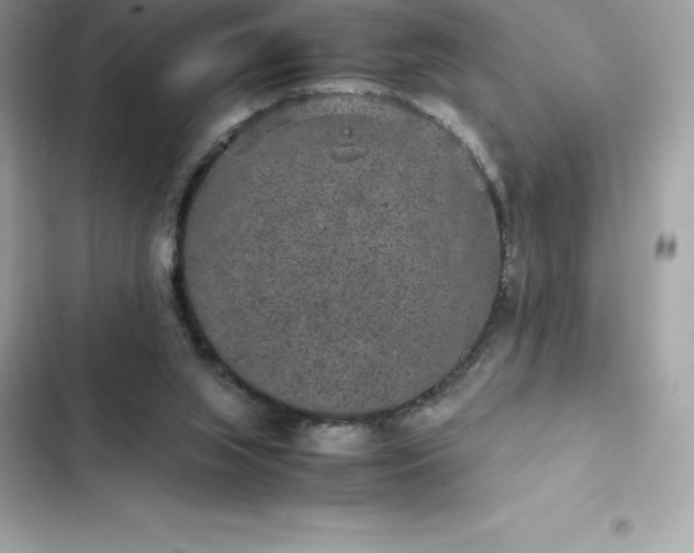 X0000102380063200808151907