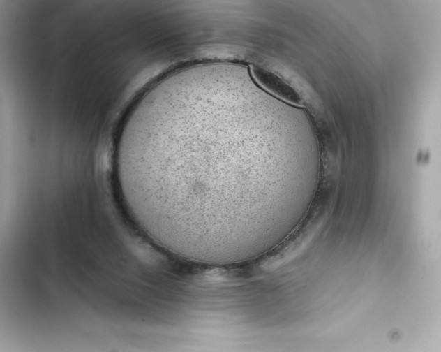 X0000102380064200808151907