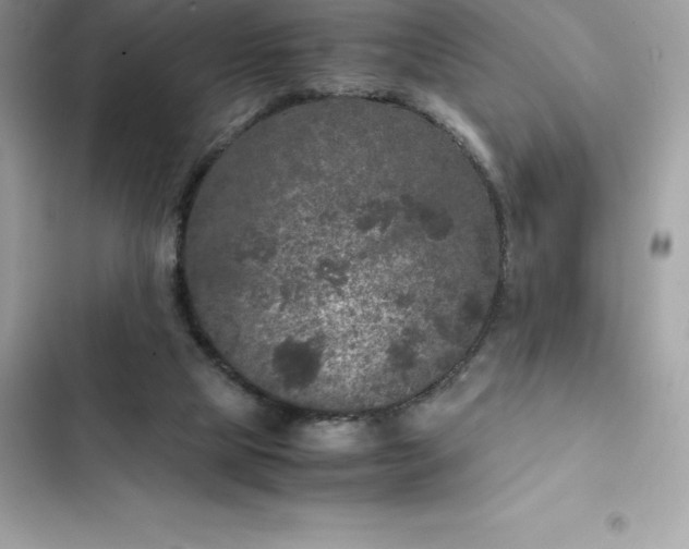 X0000102380065200808151907