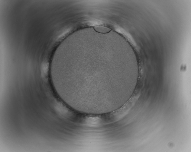 X0000102380066200808151907