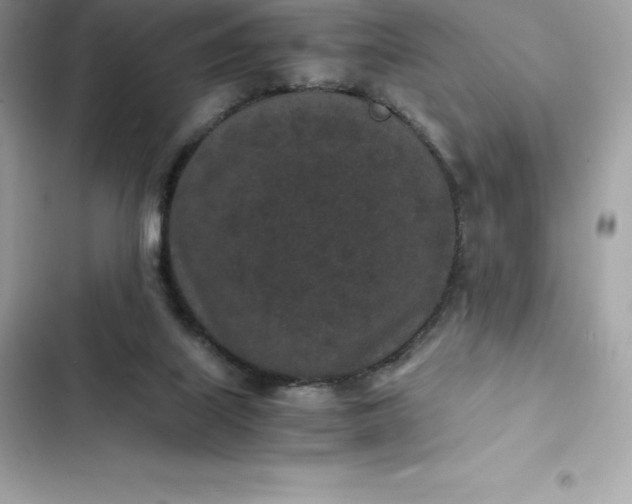 X0000102380067200808151907