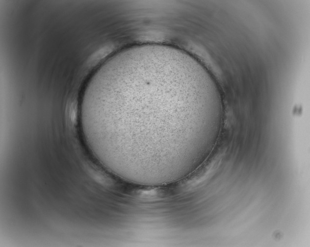 X0000102380068200808151907