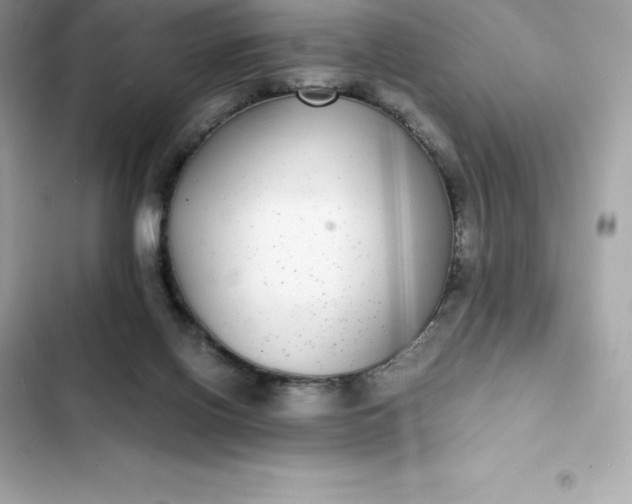 X0000102380070200808151907