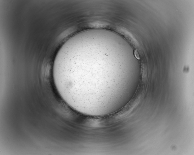 X0000102380071200808151907