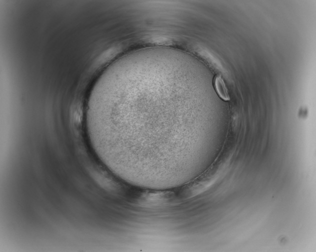 X0000102380072200808151907