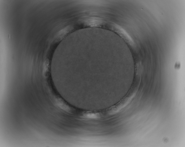 X0000102380073200808151907