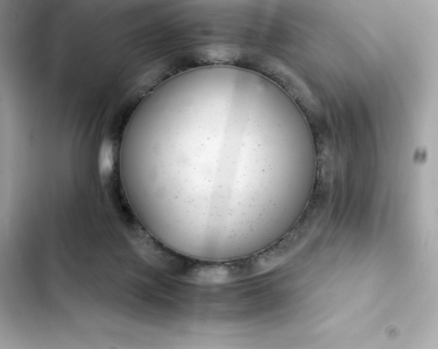 X0000102380075200808151907