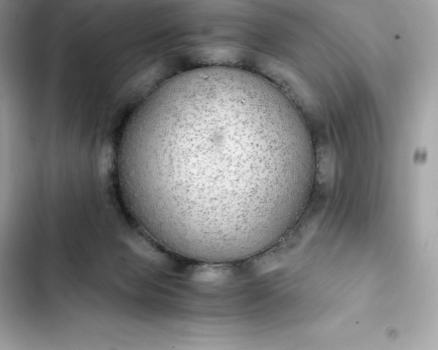 X0000102380077200808151907