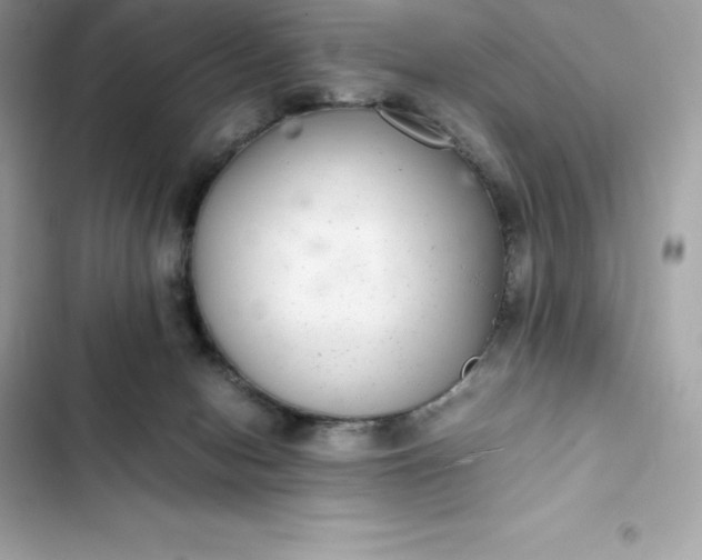 X0000102380078200808151907