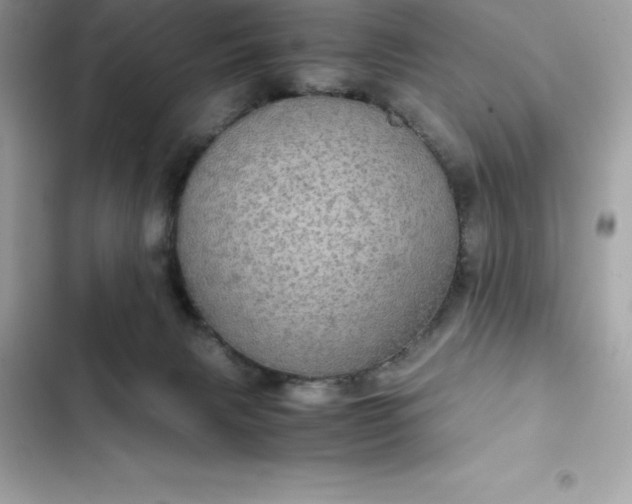 X0000102380079200808151907