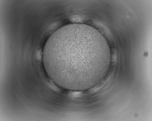 X0000102380081200808151907