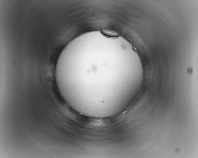 X0000102380083200808151907