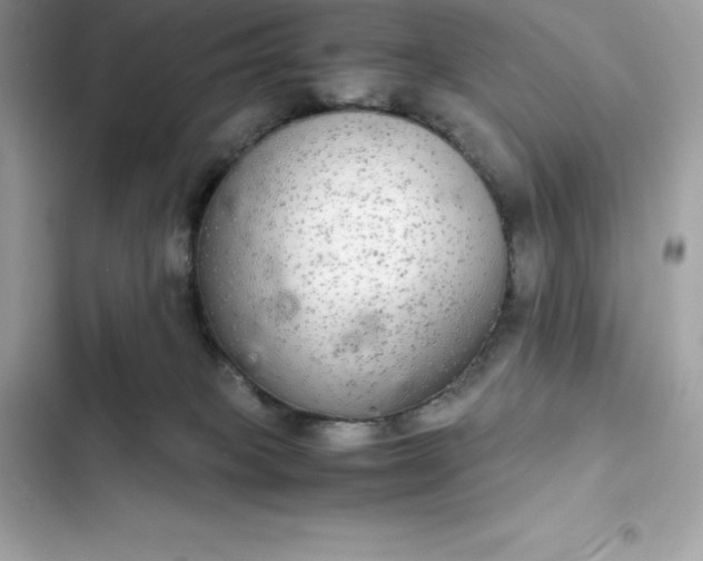 X0000102380085200808151907