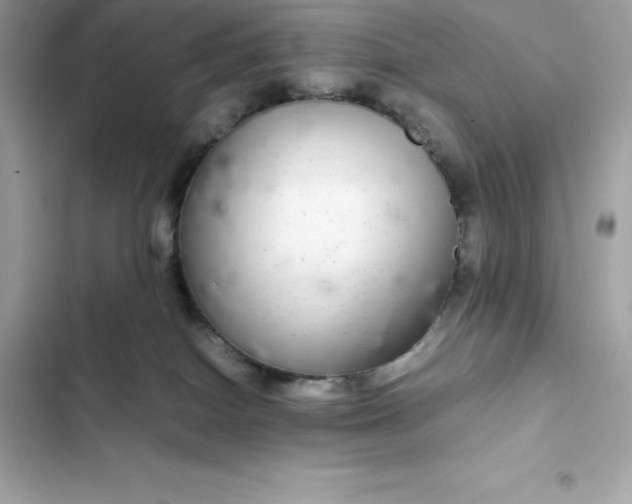 X0000102380086200808151907