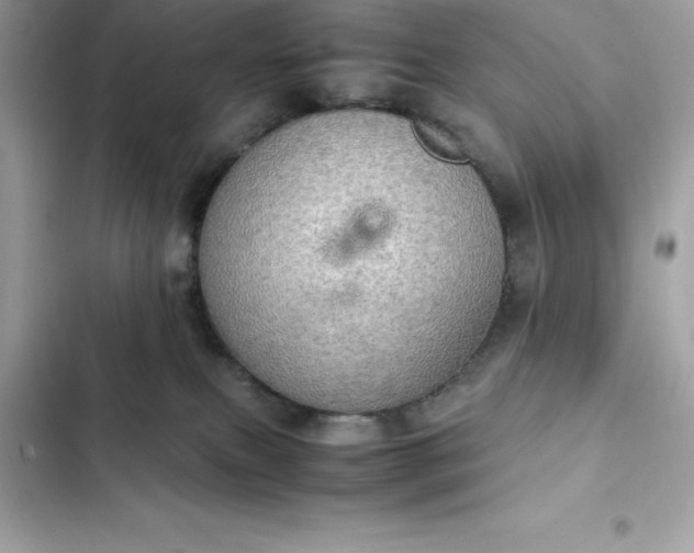 X0000102380087200808151907