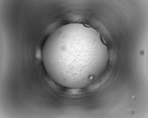 X0000102380089200808151907