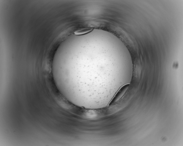 X0000102380091200808151907