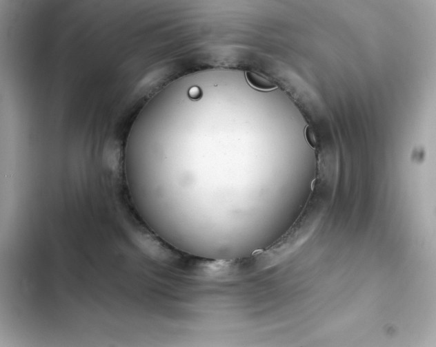 X0000102380092200808151907