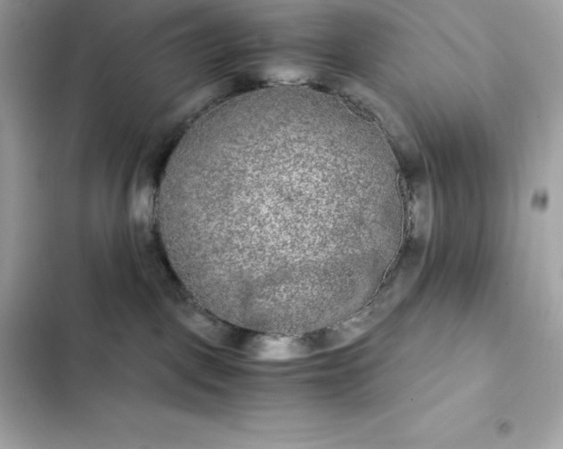 X0000102380093200808151907