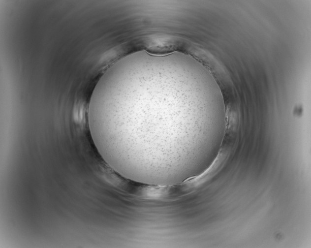 X0000102380094200808151907