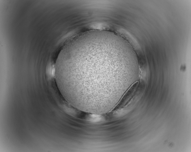 X0000102380095200808151907