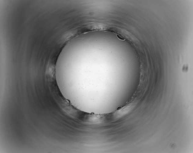 X0000102380096200808151907