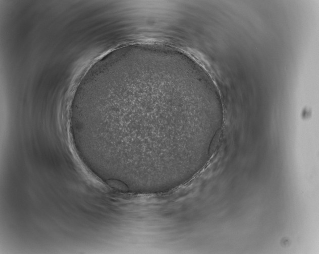 X0000102380097200808151906