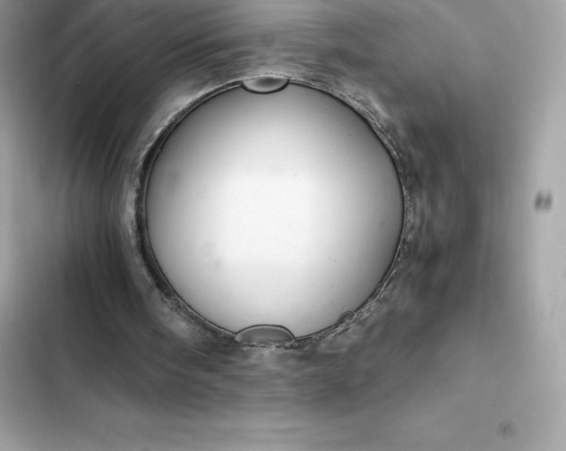 X0000102380098200808151906