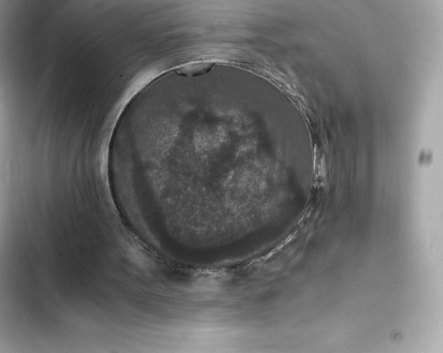 X0000102380099200808151906