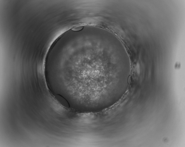 X0000102380100200808151906