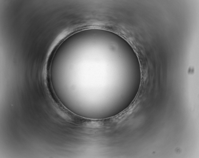 X0000102380102200808151906