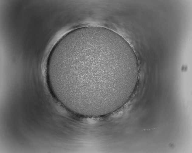 X0000102380103200808151906