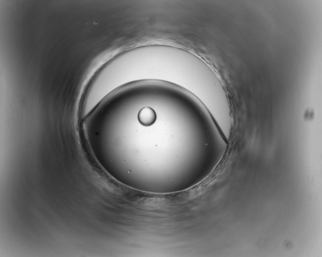 X0000102380104200808151906