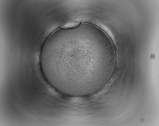 X0000102380105200808151906