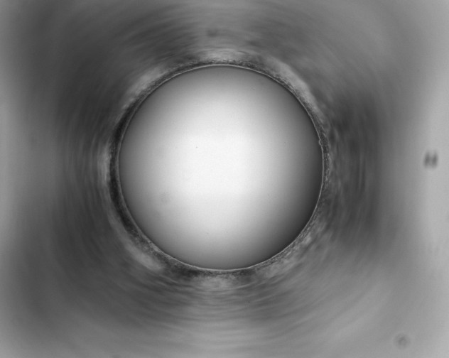 X0000102380106200808151906