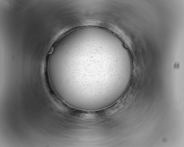 X0000102380107200808151906