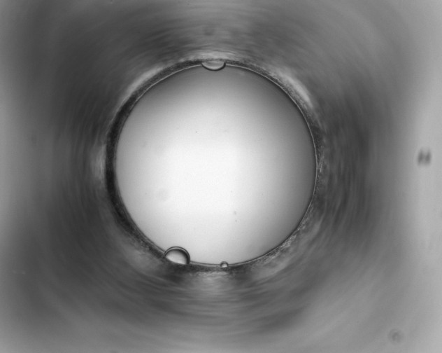 X0000102380108200808151906