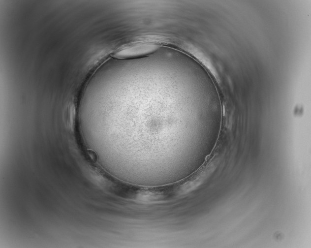 X0000102380109200808151906