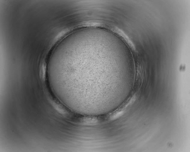 X0000102380110200808151906