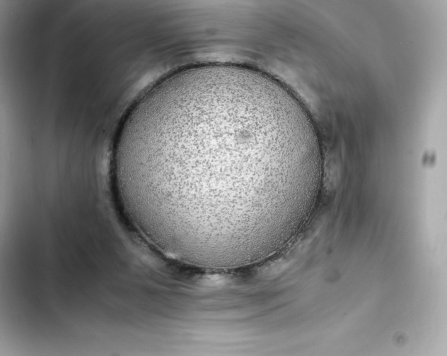 X0000102380111200808151906