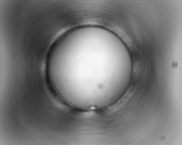 X0000102380112200808151906