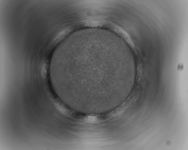 X0000102380114200808151906